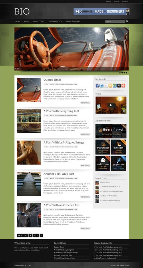 bio wordpress theme