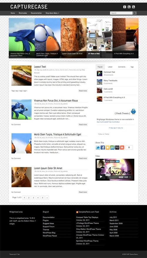 Capturecase wordpress theme