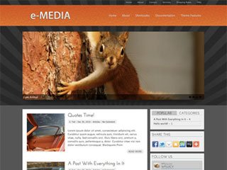 Permanent Link to e-Media
