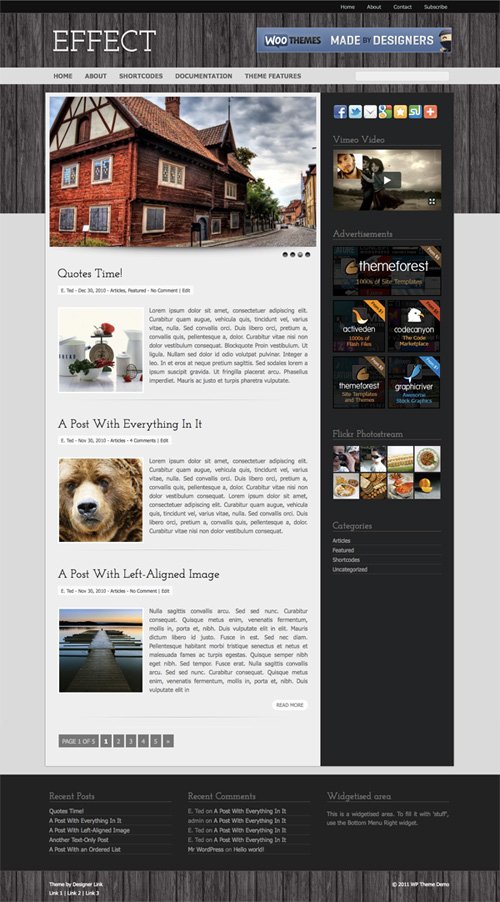 effect wordpress theme