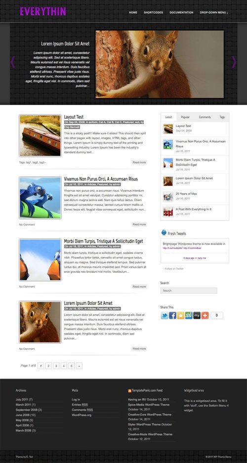 Everythin wordpress theme