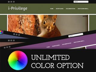 i-privilege-320x240.jpg