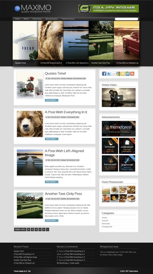 maximo wordpress theme