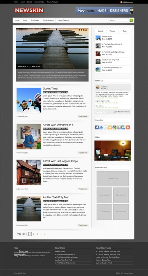 Newskin wordpress theme