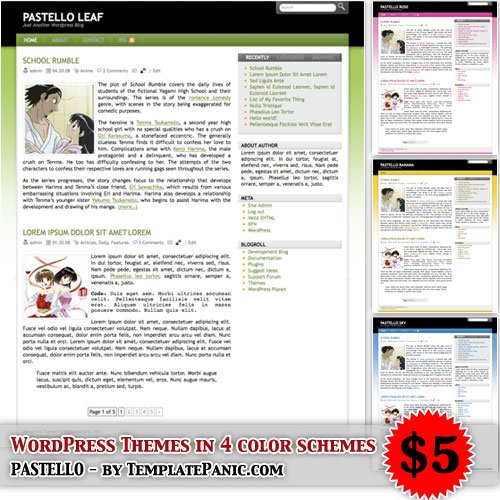 buy wordpress theme