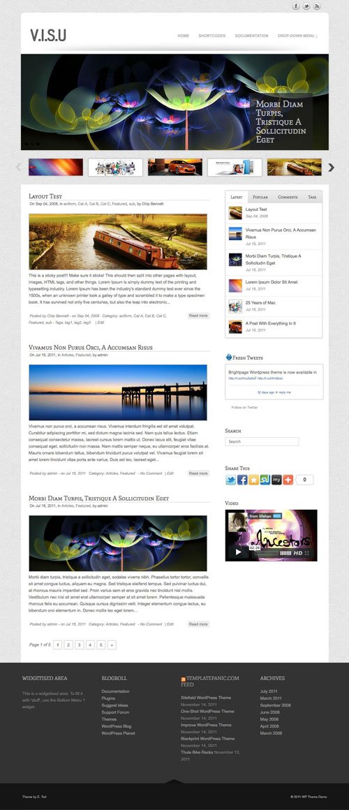 Visu wordpress theme