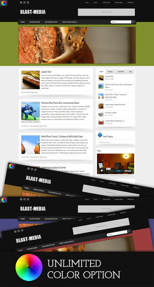 Blast-Media wordpress theme