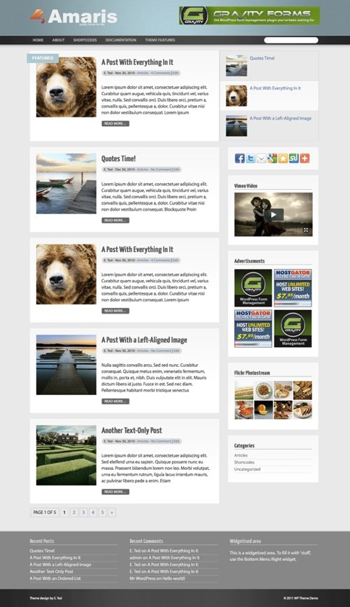 Amaris WordPress Theme