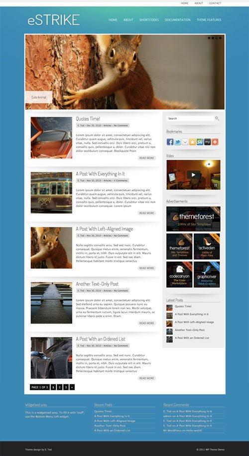 eStrike WordPress Theme